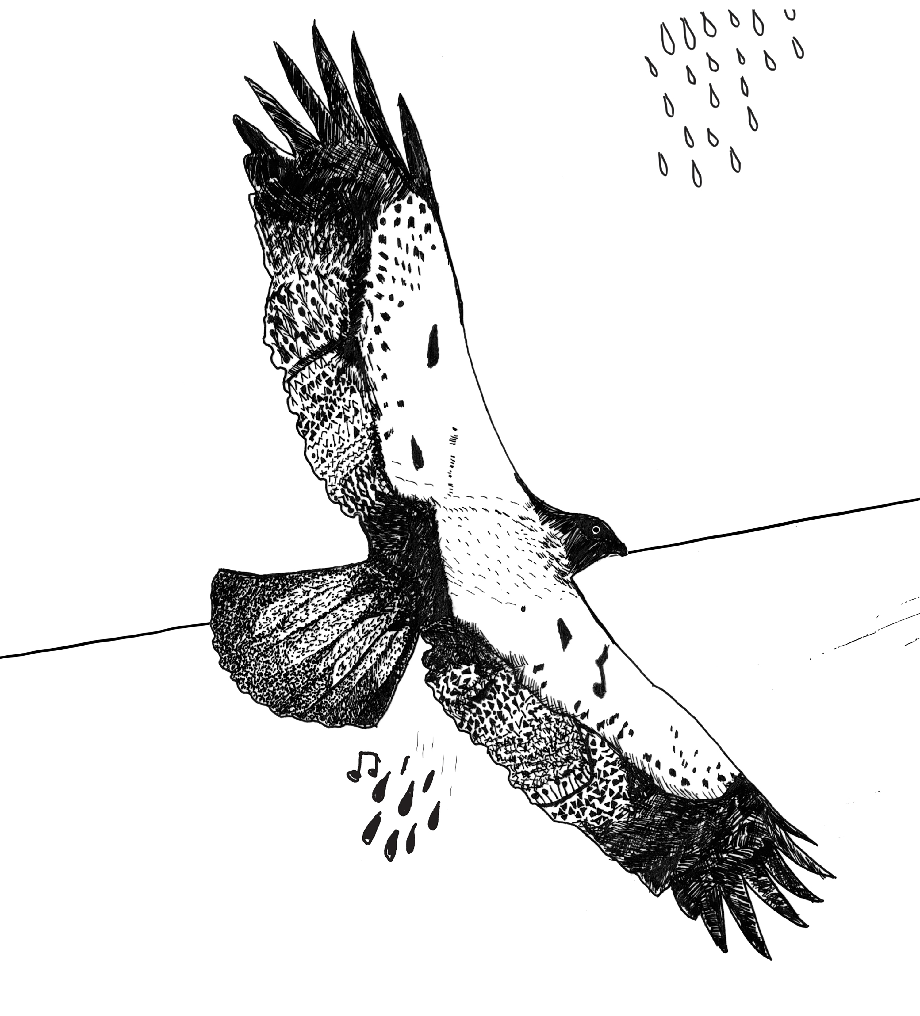 Fani Batzaki - Mousiko Stavrodromi